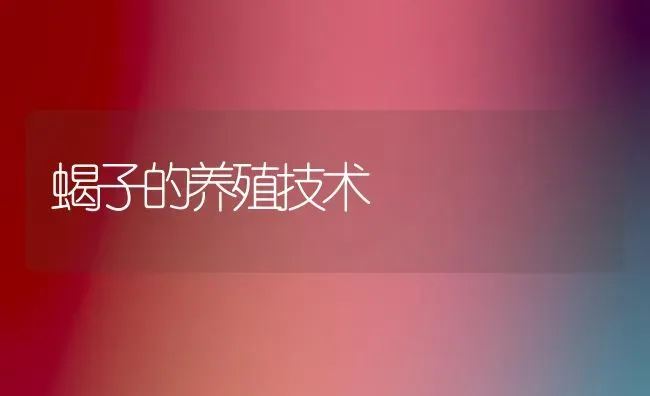 蝎子的养殖技术 | 养殖知识