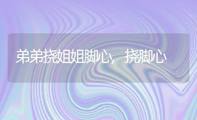 弟弟挠姐姐脚心,挠脚心 | 养殖科普