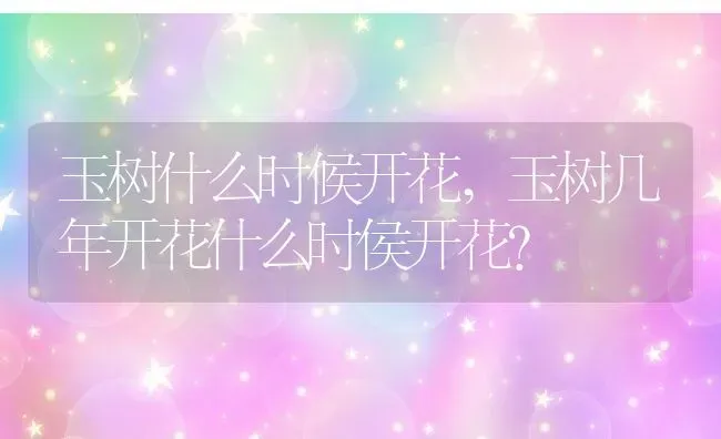 玉树什么时候开花,玉树几年开花什么时侯开花？ | 养殖科普