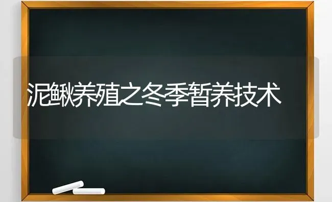 泥鳅养殖之冬季暂养技术 | 养殖知识