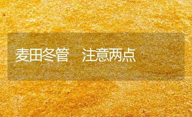 麦田冬管 注意两点 | 养殖技术大全