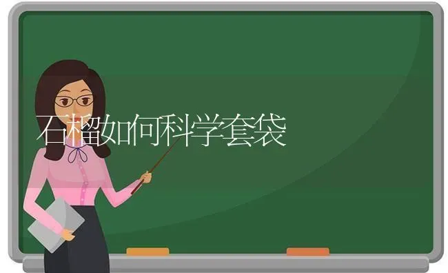石榴如何科学套袋 | 养殖技术大全