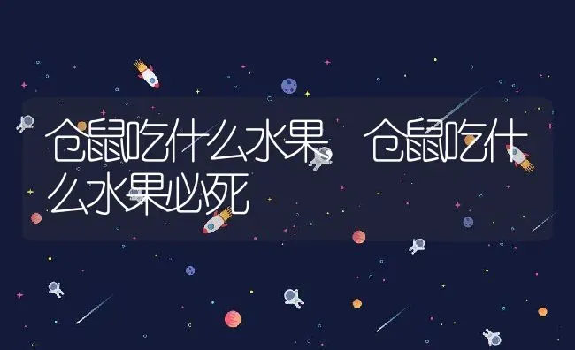仓鼠吃什么水果,仓鼠吃什么水果必死 | 养殖资料