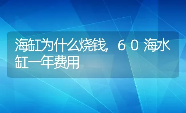 海缸为什么烧钱,60海水缸一年费用 | 养殖资料