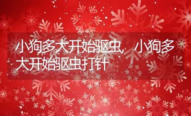 小狗多大开始驱虫,小狗多大开始驱虫打针 | 养殖科普