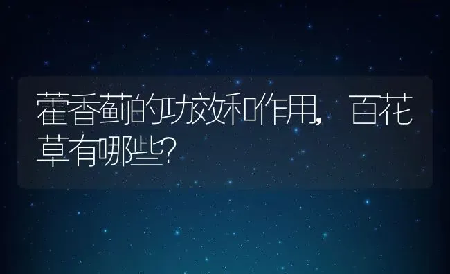 藿香蓟的功效和作用,百花草有哪些？ | 养殖科普