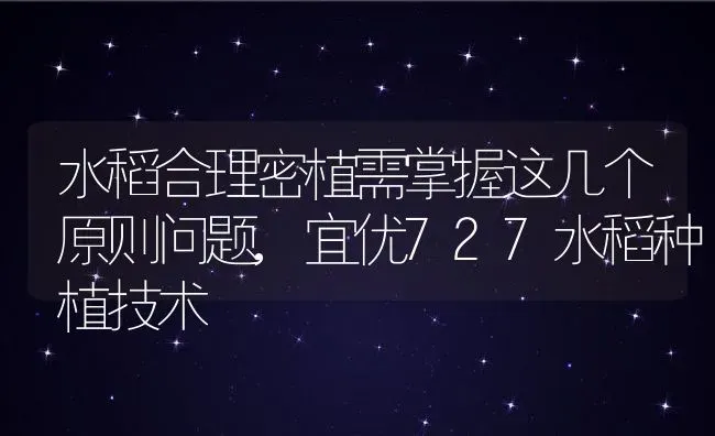 水稻合理密植需掌握这几个原则问题,宜优727水稻种植技术 | 养殖学堂