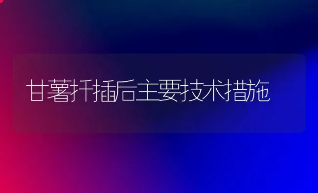 甘薯扦插后主要技术措施 | 养殖技术大全
