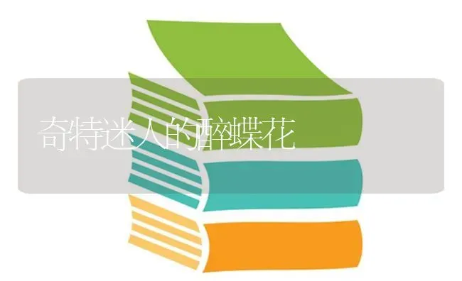 奇特迷人的醉蝶花 | 养殖技术大全