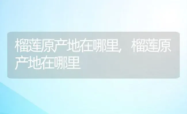 榴莲原产地在哪里,榴莲原产地在哪里 | 养殖科普