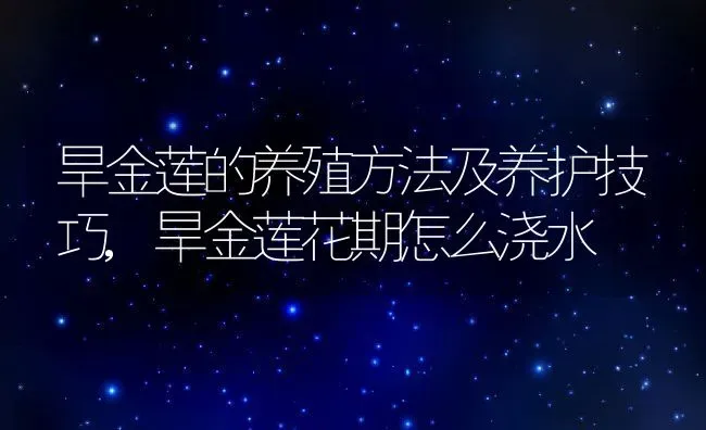 旱金莲的养殖方法及养护技巧,旱金莲花期怎么浇水 | 养殖学堂