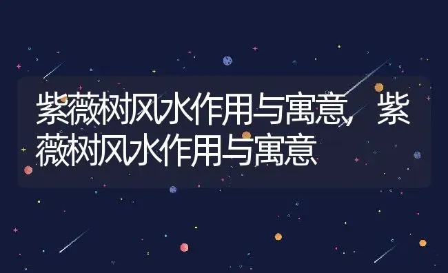 紫薇树风水作用与寓意,紫薇树风水作用与寓意 | 养殖科普