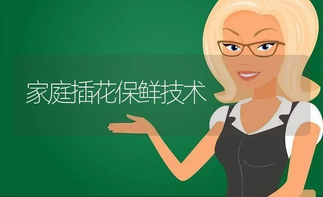 家庭插花保鲜技术 | 养殖技术大全