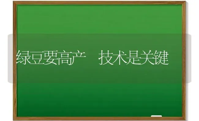 绿豆要高产 技术是关键 | 养殖技术大全