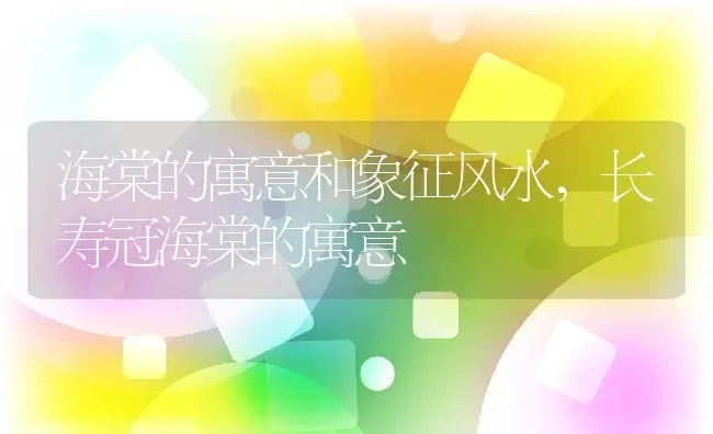 海棠的寓意和象征风水,长寿冠海棠的寓意 | 养殖学堂