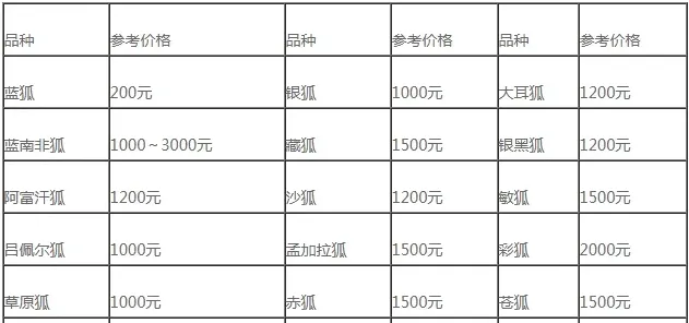 狐狸价格多少钱？ | 实用知识