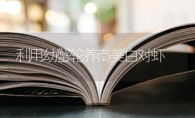 利用幼蟹轮养南美白对虾 | 养殖技术大全