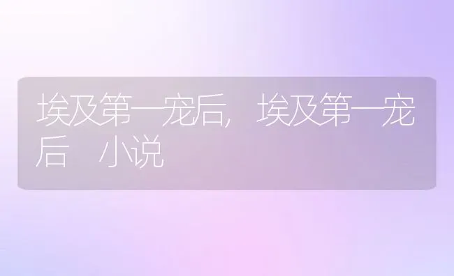 埃及第一宠后,埃及第一宠后 小说 | 养殖资料