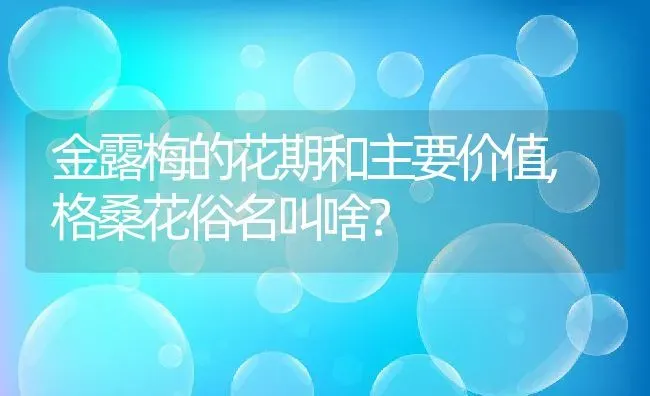 金露梅的花期和主要价值,格桑花俗名叫啥？ | 养殖科普