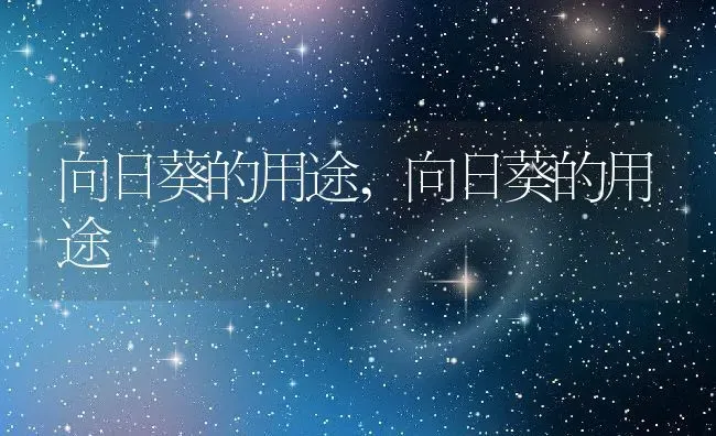 向日葵的用途,向日葵的用途 | 养殖科普