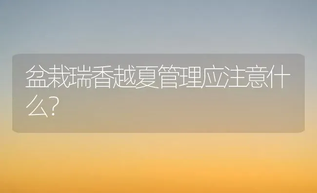 盆栽瑞香越夏管理应注意什么? | 养殖技术大全