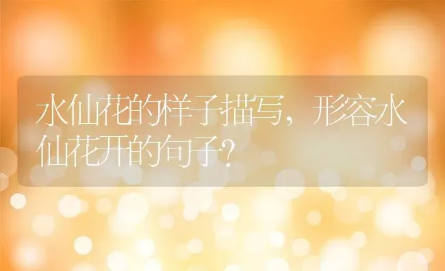 水仙花的样子描写,形容水仙花开的句子？ | 养殖学堂