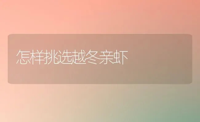 怎样挑选越冬亲虾 | 养殖知识