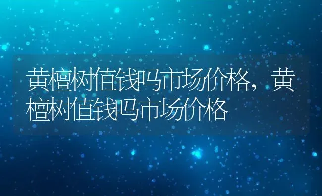 黄檀树值钱吗市场价格,黄檀树值钱吗市场价格 | 养殖科普
