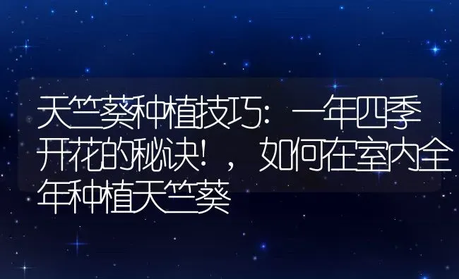 天竺葵种植技巧:一年四季开花的秘诀!,如何在室内全年种植天竺葵 | 养殖学堂