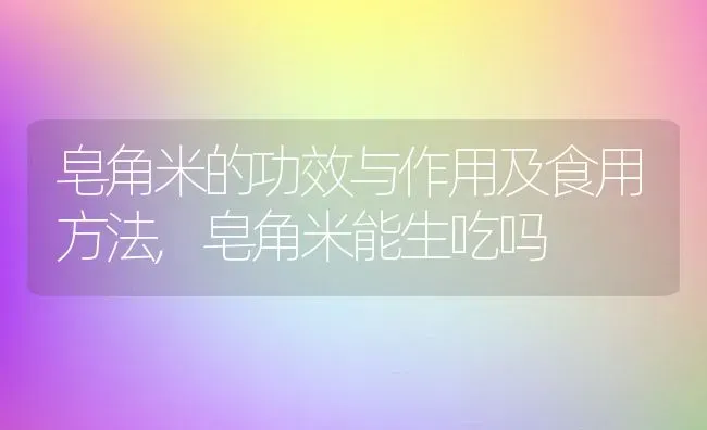 皂角米的功效与作用及食用方法,皂角米能生吃吗 | 养殖学堂