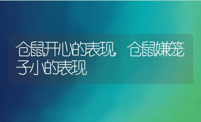 仓鼠开心的表现,仓鼠嫌笼子小的表现 | 养殖科普