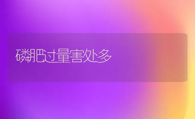 磷肥过量害处多 | 养殖技术大全