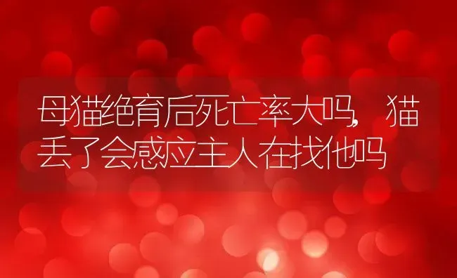 母猫绝育后死亡率大吗,猫丢了会感应主人在找他吗 | 养殖科普