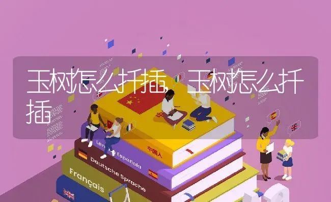 玉树怎么扦插,玉树怎么扦插 | 养殖科普