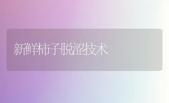 新鲜柿子脱涩技术 | 养殖技术大全