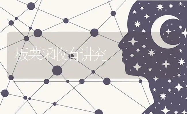 板栗采收有讲究 | 养殖技术大全