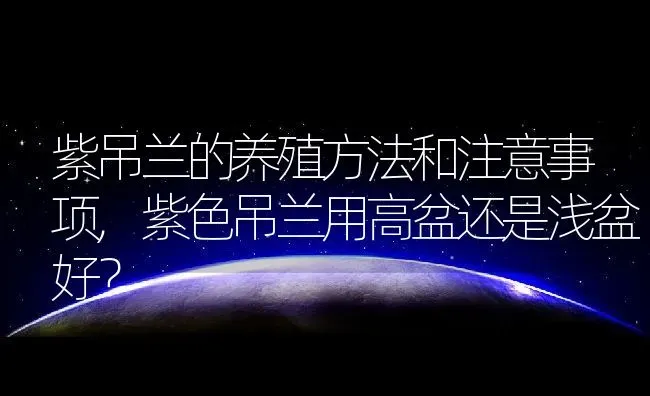 紫吊兰的养殖方法和注意事项,紫色吊兰用高盆还是浅盆好？ | 养殖科普