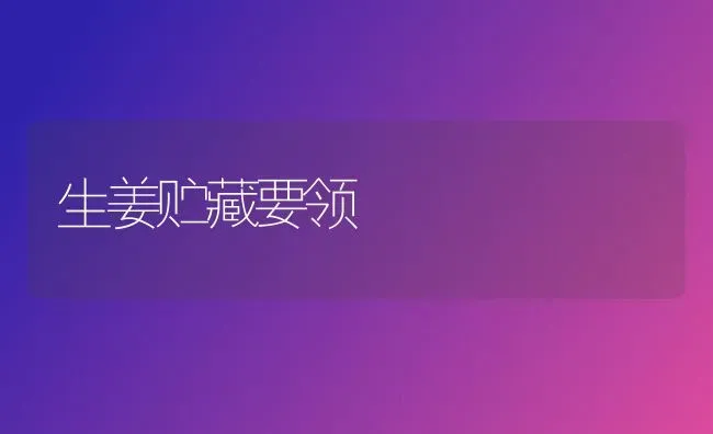 生姜贮藏要领 | 养殖知识