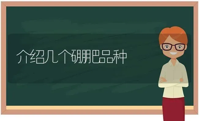 介绍几个硼肥品种 | 养殖知识