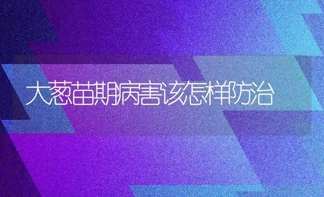 大葱苗期病害该怎样防治 | 养殖技术大全