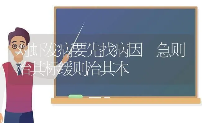 对虾发病要先找病因 急则治其标缓则治其本 | 养殖技术大全