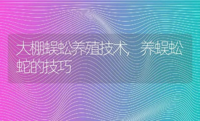 大棚蜈蚣养殖技术,养蜈蚣蛇的技巧 | 养殖学堂