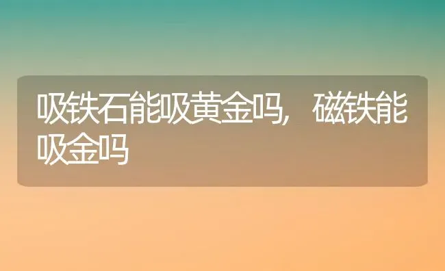 吸铁石能吸黄金吗,磁铁能吸金吗 | 养殖学堂