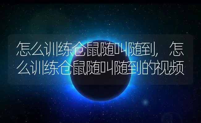 怎么训练仓鼠随叫随到,怎么训练仓鼠随叫随到的视频 | 养殖资料