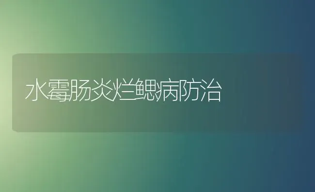 水霉肠炎烂鳃病防治 | 养殖知识