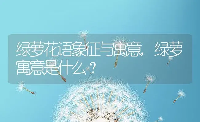 绿萝花语象征与寓意,绿萝寓意是什么？ | 养殖学堂