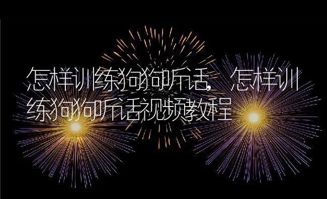 怎样训练狗狗听话,怎样训练狗狗听话视频教程 | 养殖资料