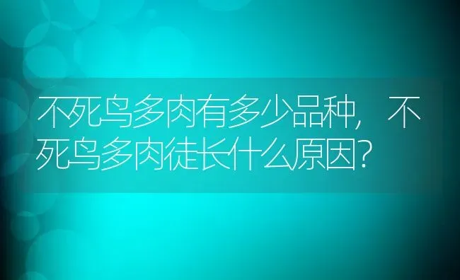 不死鸟多肉有多少品种,不死鸟多肉徒长什么原因？ | 养殖科普