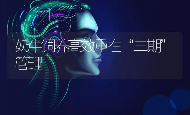奶牛饲养高效重在“三期”管理 | 养殖技术大全
