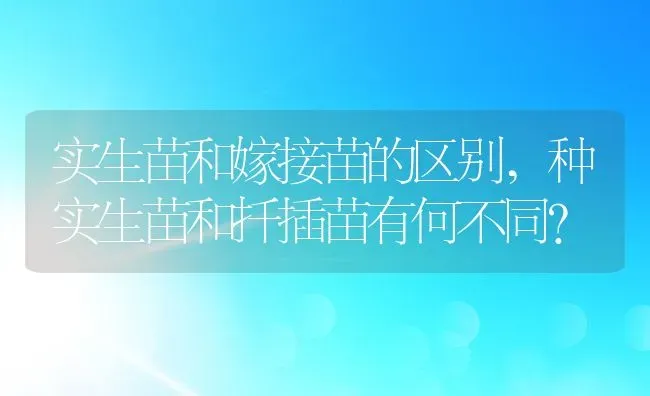 实生苗和嫁接苗的区别,种实生苗和扦插苗有何不同？ | 养殖科普